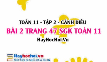 Bài 2 trang 47 Toán 11 tập 2 Cánh Diều